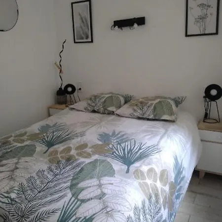 Appartement Spacieux Proche De La Mer Banyuls-sur-Mer Exterior photo