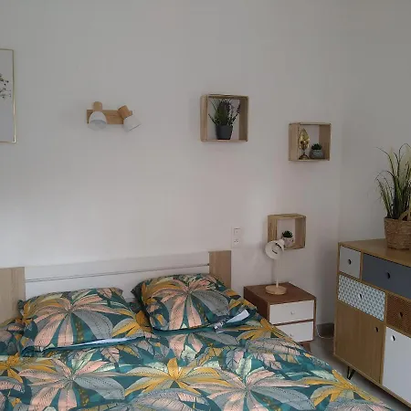 Appartement Spacieux Proche De La Mer Banyuls-sur-Mer Exterior photo