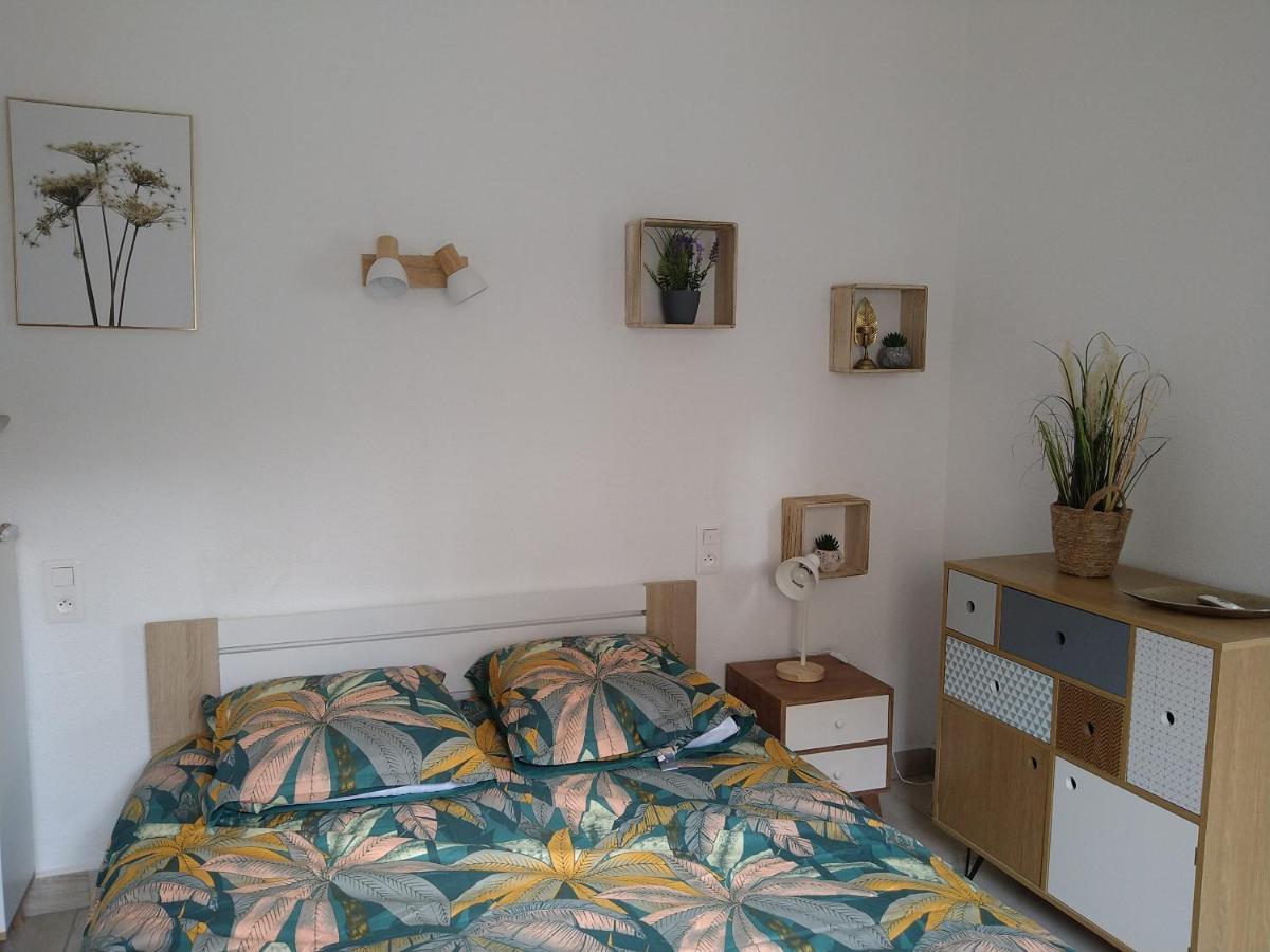 Spacieux Proche De La Apartment Banyuls-sur-Mer
